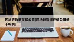 区块链数据存储公司[区块链数据存储公司是干嘛的]