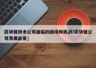 区块链技术公司面临的困境和挑战[区块链公司发展前景]